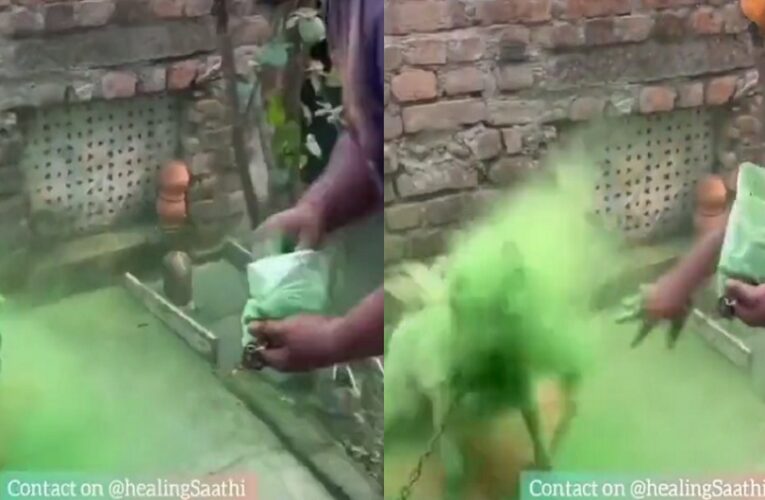 जंजीर से बंधे कुत्ते पर हरा गुलाल डालते हुए का VIDEO वायरल, भड़के लोग, उत्तराखंड का बताया जा रहा