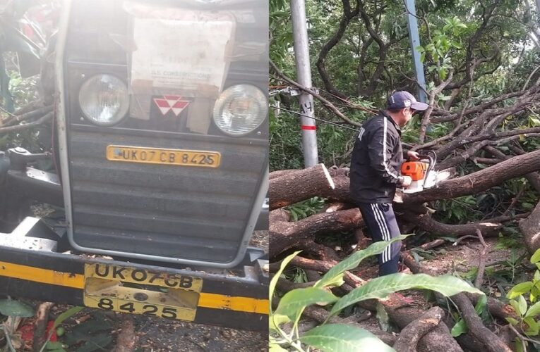 देहरादून में बड़ा हादसा, तेज आंधी से गिरा पेड़, ट्रैक्टर में सवार 5 लोग नीचे दबे