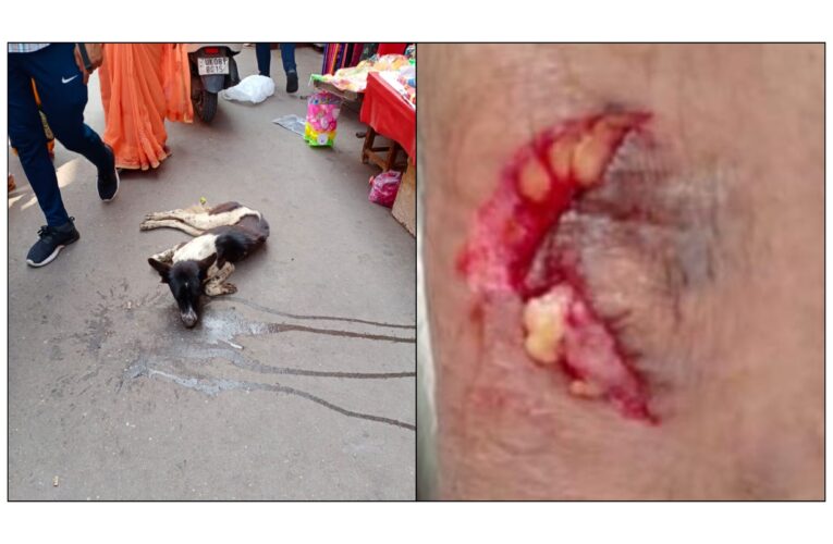हरिद्वार में पागल कुत्ते का तांडव, जो आता गया उसे काटता गया, लोगों ने पीट-पीटकर मार डाला