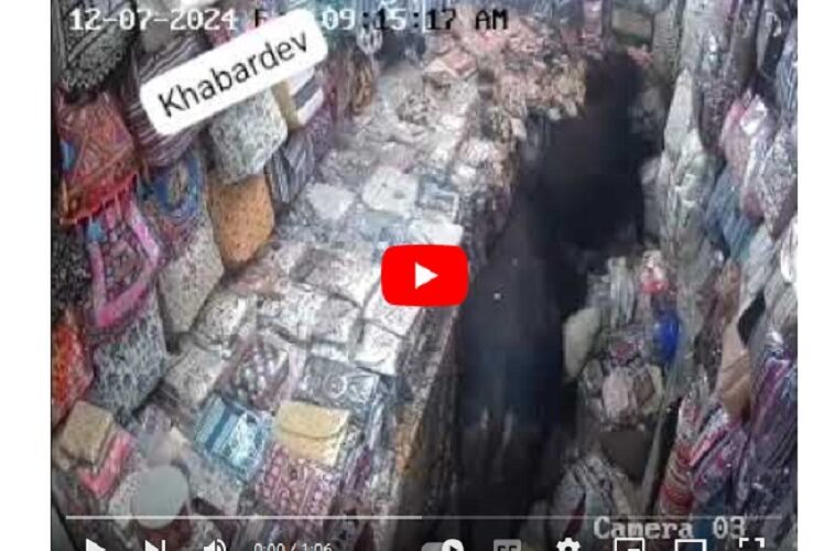 दो सांड लड़ते-लड़ते घुसे दुकान में, दुकानदार ने दो लड़कियों की जान बचाई,देखें वीडियो