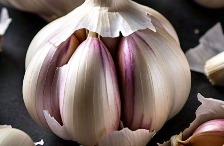 कहीं आप तो नहीं खरीद रहे हानिकारक चीन का लहसुन? देसी से भी कम कीमत पर बिक्री !