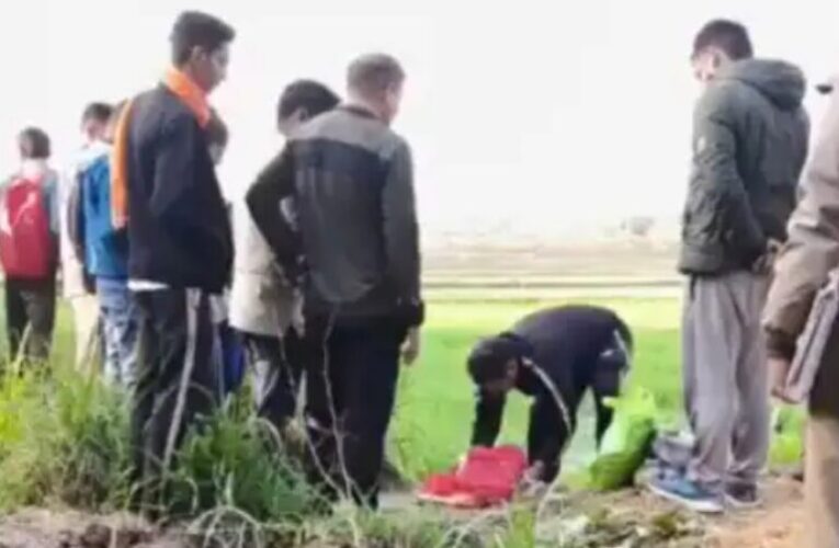 नहर में मिला नवजात का शव